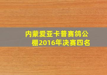 内蒙爱亚卡普赛鸽公棚2016年决赛四名