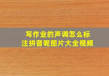 写作业的声调怎么标注拼音呢图片大全视频