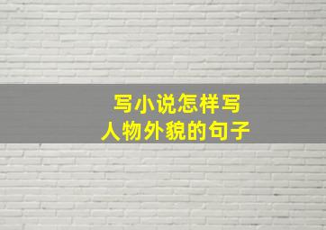 写小说怎样写人物外貌的句子