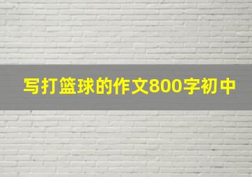 写打篮球的作文800字初中