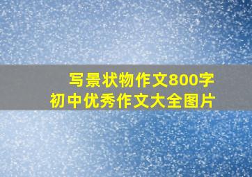 写景状物作文800字初中优秀作文大全图片