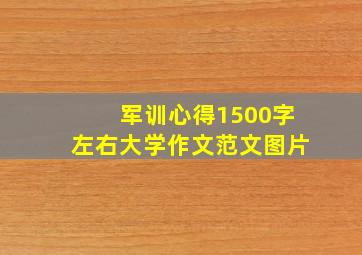 军训心得1500字左右大学作文范文图片