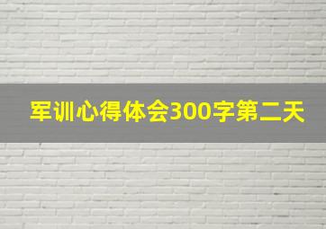 军训心得体会300字第二天