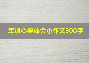 军训心得体会小作文300字