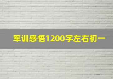 军训感悟1200字左右初一