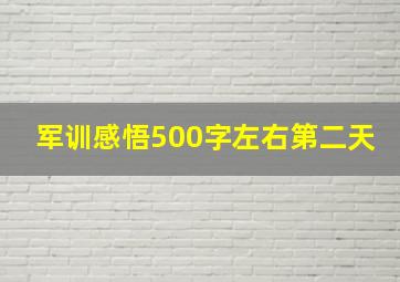 军训感悟500字左右第二天