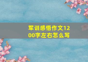 军训感悟作文1200字左右怎么写