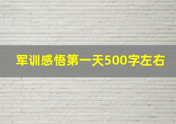 军训感悟第一天500字左右