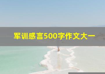 军训感言500字作文大一