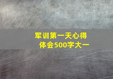 军训第一天心得体会500字大一