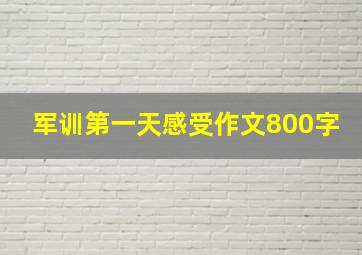 军训第一天感受作文800字