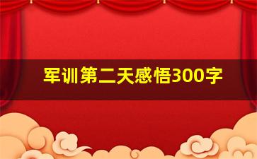 军训第二天感悟300字