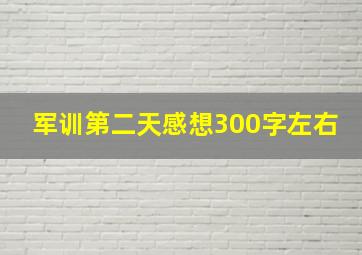 军训第二天感想300字左右