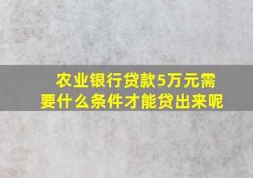 农业银行贷款5万元需要什么条件才能贷出来呢