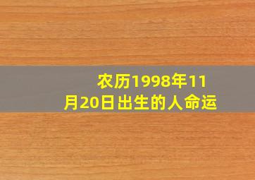 农历1998年11月20日出生的人命运