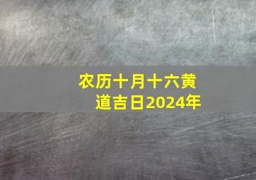 农历十月十六黄道吉日2024年