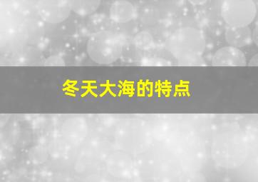 冬天大海的特点