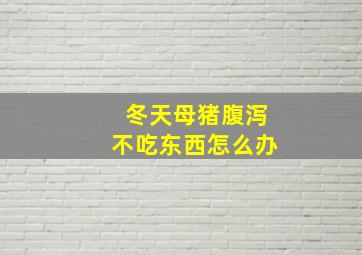 冬天母猪腹泻不吃东西怎么办