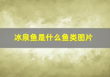 冰泉鱼是什么鱼类图片