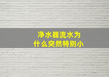 净水器流水为什么突然特别小