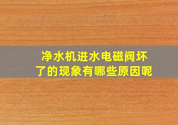 净水机进水电磁阀坏了的现象有哪些原因呢