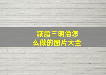 减脂三明治怎么做的图片大全