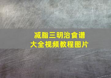 减脂三明治食谱大全视频教程图片