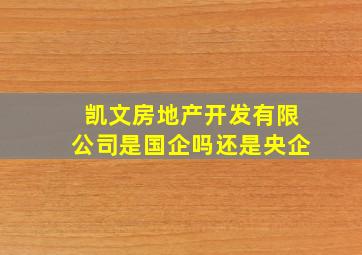 凯文房地产开发有限公司是国企吗还是央企