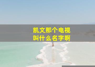 凯文那个电视叫什么名字啊