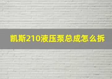 凯斯210液压泵总成怎么拆