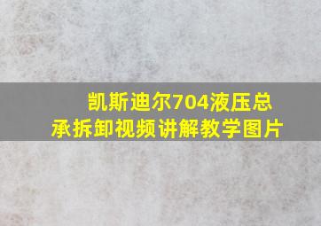 凯斯迪尔704液压总承拆卸视频讲解教学图片