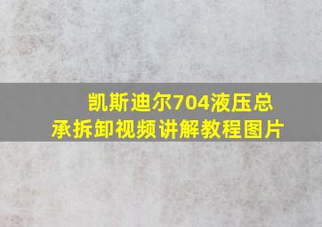 凯斯迪尔704液压总承拆卸视频讲解教程图片