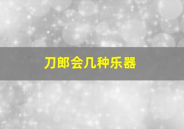 刀郎会几种乐器