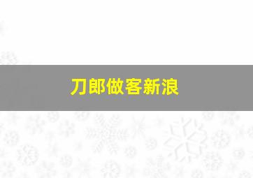 刀郎做客新浪