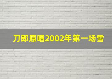 刀郎原唱2002年第一场雪