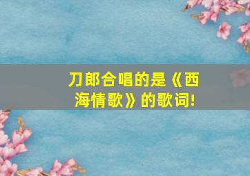 刀郎合唱的是《西海情歌》的歌词!