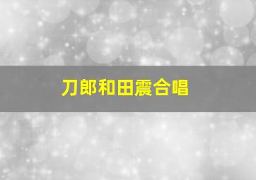 刀郎和田震合唱