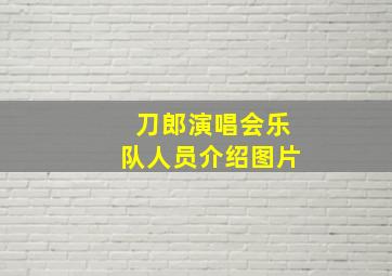 刀郎演唱会乐队人员介绍图片