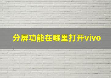 分屏功能在哪里打开vivo