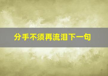 分手不须再流泪下一句