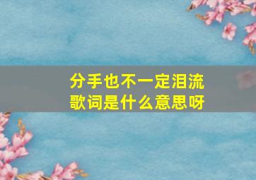 分手也不一定泪流歌词是什么意思呀