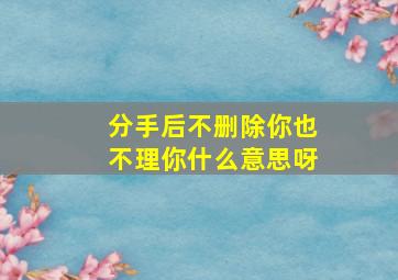 分手后不删除你也不理你什么意思呀