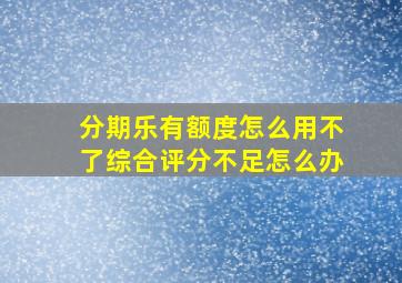 分期乐有额度怎么用不了综合评分不足怎么办