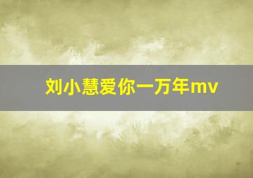 刘小慧爱你一万年mv