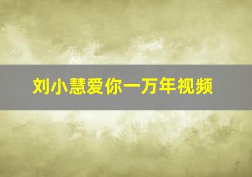 刘小慧爱你一万年视频