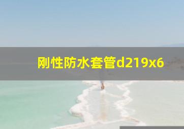 刚性防水套管d219x6