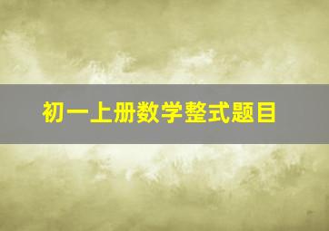 初一上册数学整式题目