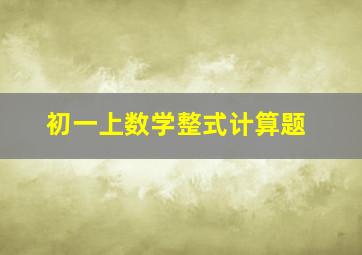 初一上数学整式计算题