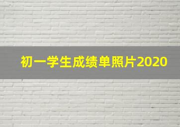 初一学生成绩单照片2020