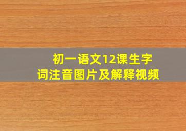 初一语文12课生字词注音图片及解释视频